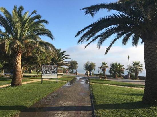 Appartement Avec Piscine Argelès-sur-Mer Exteriör bild